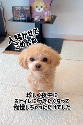 元気を取り戻したよ♪