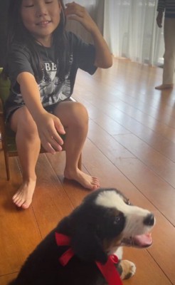 子犬との初めてのあいさつ