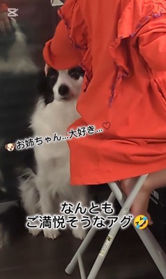 作業中のお姉ちゃんとアグちゃん⑩