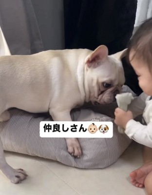 おもちゃを持つ赤ちゃん