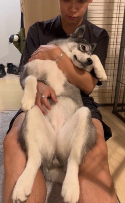 はまちちゃんの成長記録7