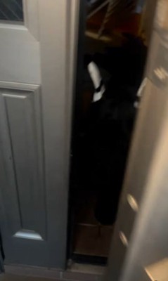 ゲートを破壊したリンツちゃん2