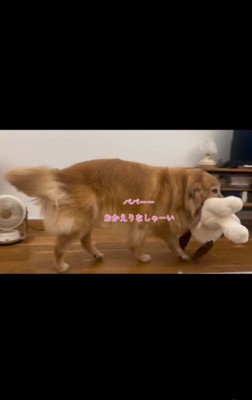 雷が怖いハルちゃん、お父さんが帰宅したら…⑩