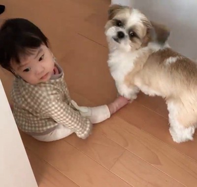 コロくんと赤ちゃんのシンクロ5