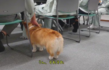 なでなでにご満悦♡