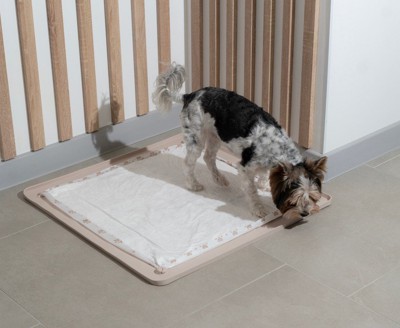 大きめのトイレを嗅ぐ犬