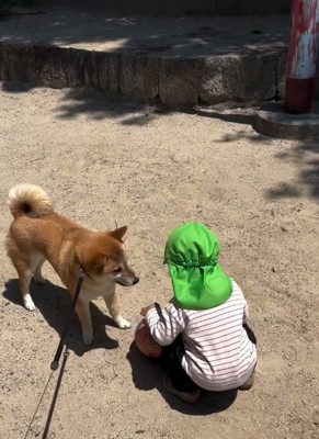 ボールを持ち上げる幼児