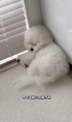 似すぎているおうじ君&あんじちゃん8