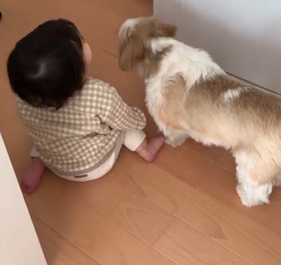 コロくんと赤ちゃんのシンクロ2