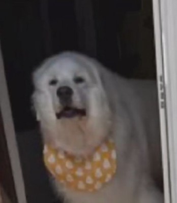 嬉しいサプライズ！！