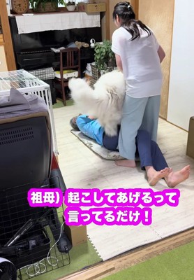 容赦ない攻撃に爆笑♪