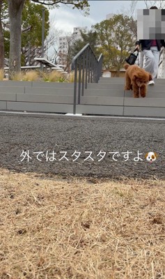 降りるのも余裕♪