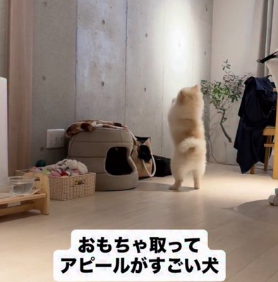 気持ちは行動で示します