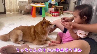 うにくんも歯磨きが気になる…