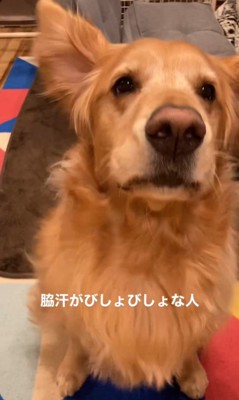 質問にお返事するこたつ君7