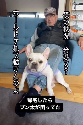 困っているブン太くん