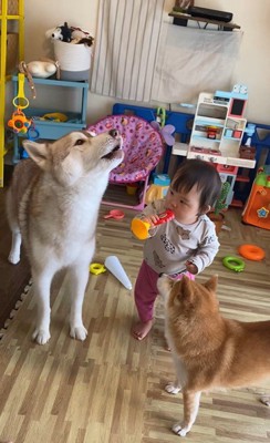 ロッキーくんと赤ちゃんの音楽会