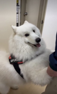 「着いちゃった…」