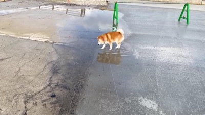 慎重に…慎重に…