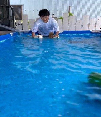 スタートを待つ2匹の犬