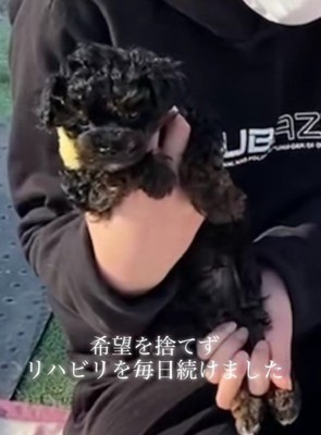 リハビリを開始！！