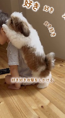 男の子の背中に抱きつく子犬