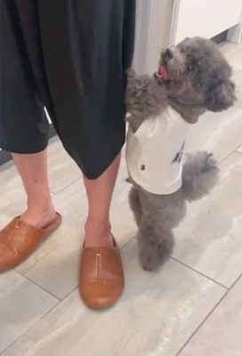 足に飛びつくアイナちゃん