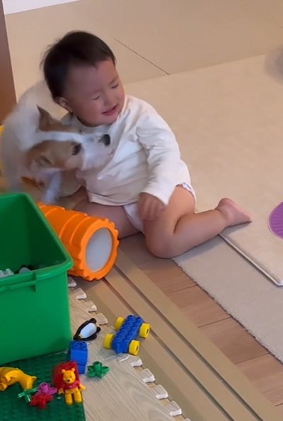 赤ちゃんの顔を舐める犬