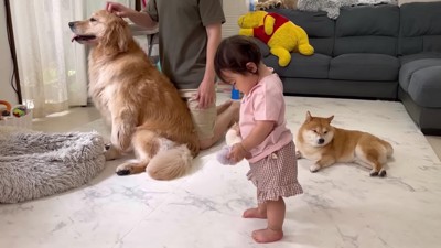 パパからごほうび