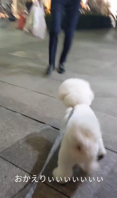 パパさんのお迎えに来たふう太くん2