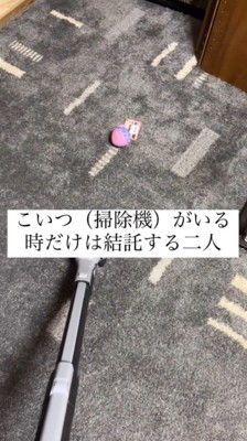 カーペットに掃除機をかける投稿者