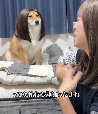 同僚女性に扮するごんちゃん