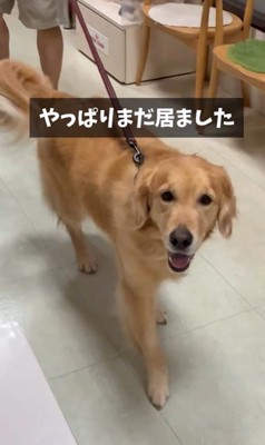 病院が大好きなマーシャル君6