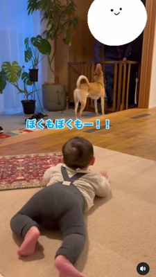 奥に犬の後ろ姿、手前に赤ちゃんの後ろ姿