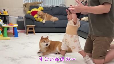 うにくんの周りをグルグル