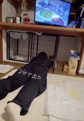 冷静沈着なクルミシャン