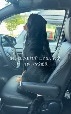 ノックに気づいたはくちゃん