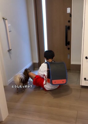 ソワソワするアムくん