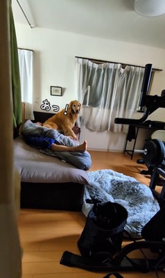 お兄ちゃんの部屋から出てこない蘭ちゃん6