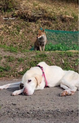 気がつけばそばにいる