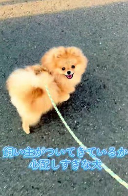 「ちゃんといる？？」