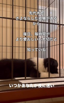 すぅちゃんと家族に