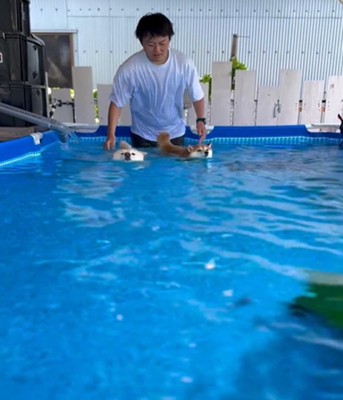 スタートする2匹の犬