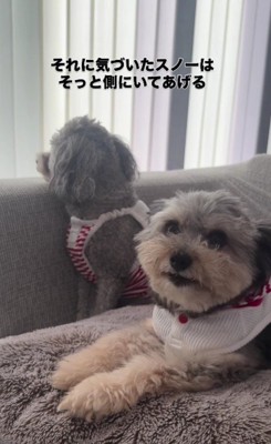 優しさにあふれてる…