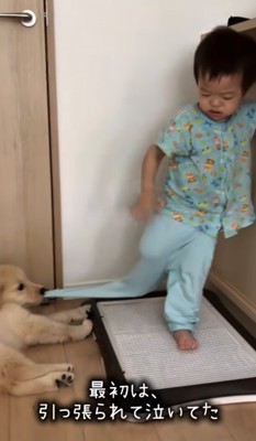 子どもの服をくわえる犬と困った顔の男の子
