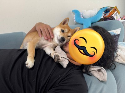 わさびちゃんの日常