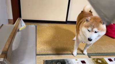 美味しそうなラーメン