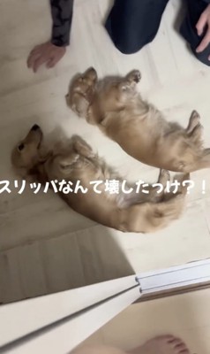 記憶にございません