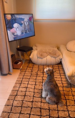 嬉しそうに鼻を鳴らす犬