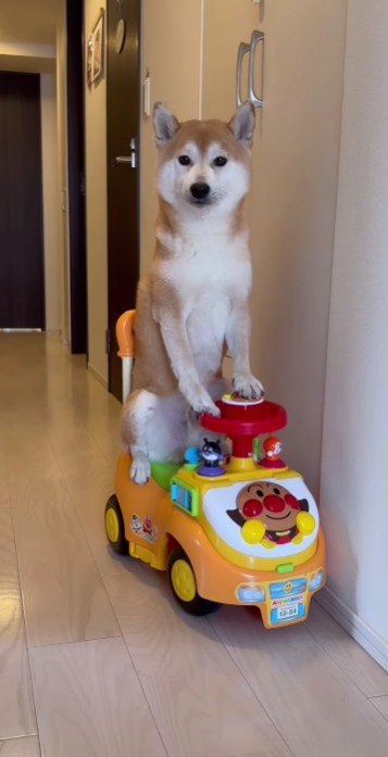 すっかり様になってる♡